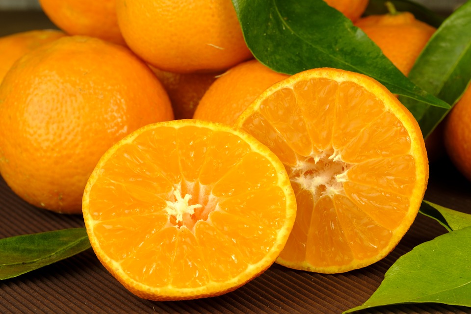 Mandarinkovník