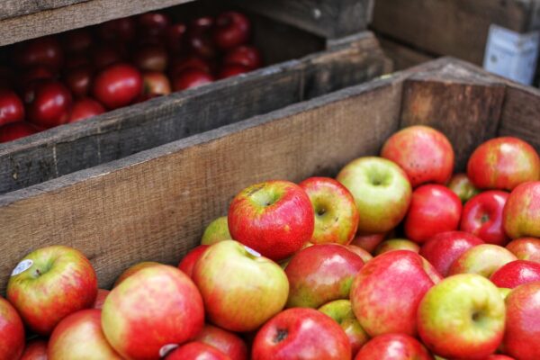 Jak skladovat jablka?