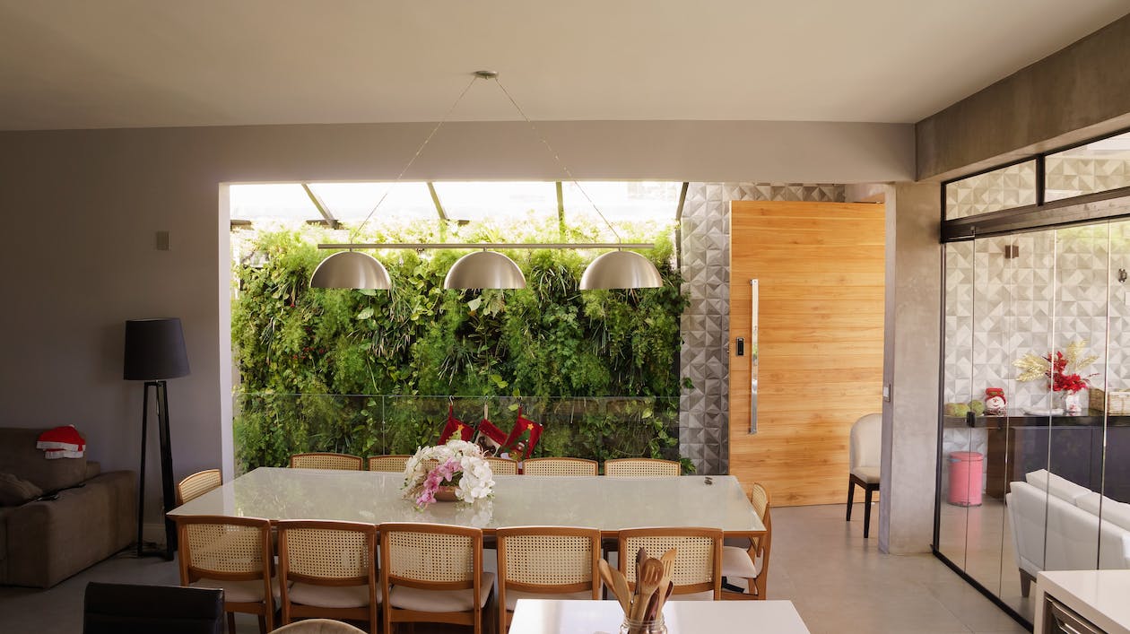 Interiérové trendy: Rostliny vnesou do vašeho domova styl i zdravý vzduch